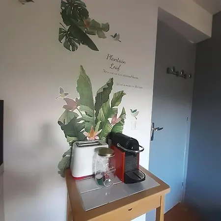 Dans Maison Appartement